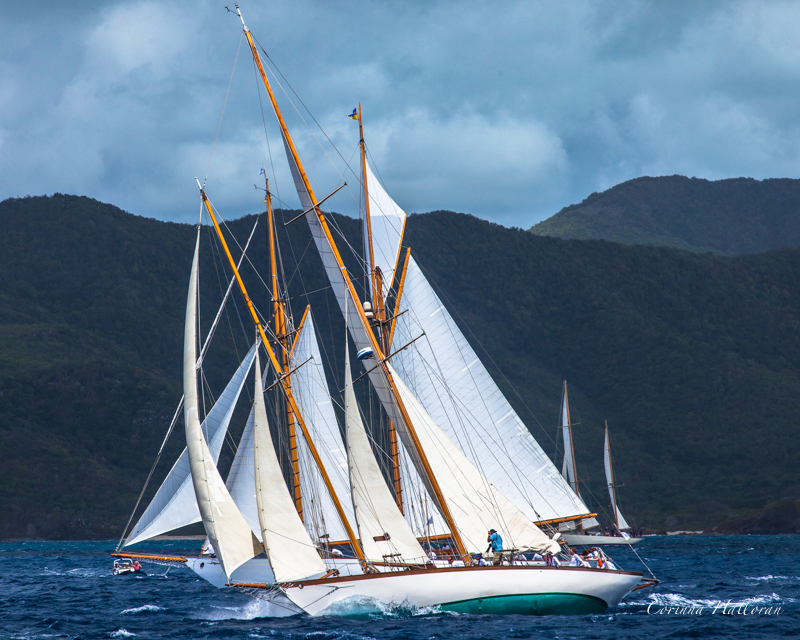 dutch classic yacht regatta