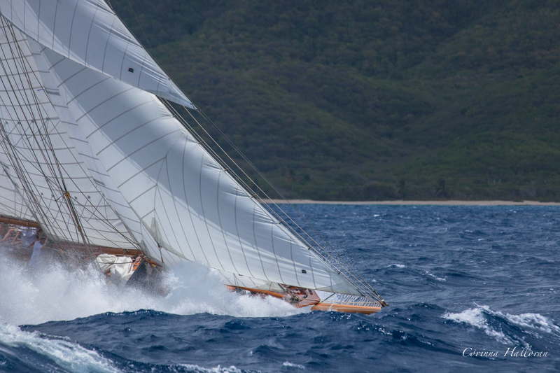 dutch classic yacht regatta