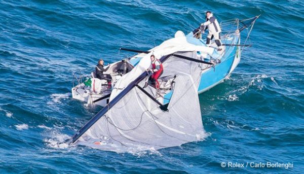 Video Attack By Orcas Along Portugal Scuttlebutt Sailing News