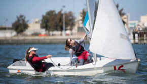 monohull sailboat with foils